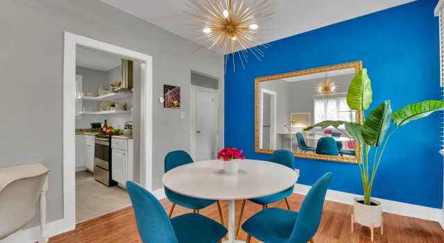 Stunning Apartment near Palmer Park/Free Parking