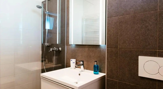 Номер Standard Aparthotel Heuberger