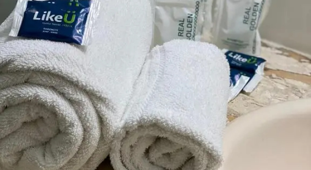 Двухместный номер Standard Papillon Hotel