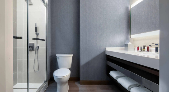Четырёхместный номер Standard Dallas/Plano Marriott at Legacy Town Center