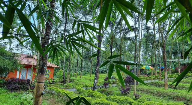 Himadri Retreat Cottage