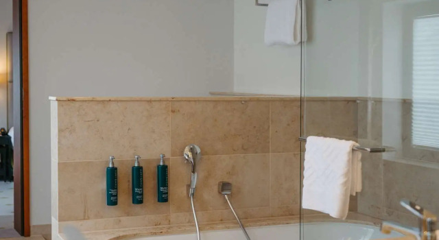 Номер Standard Дуплекс Hilton Frankfurt Gravenbruch