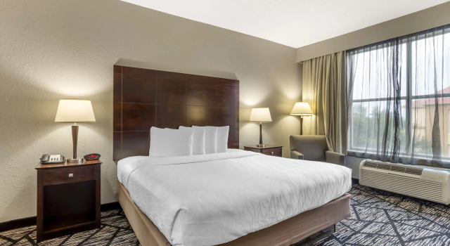 Двухместный номер Standard Best Western Plus Hobby Airport Inn & Suites