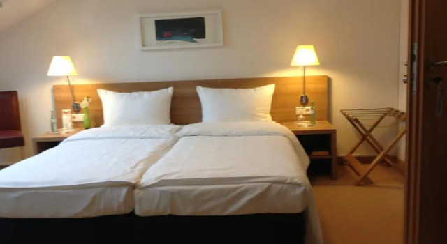 Двухместный номер Standard Sapia Hotel St. Fridolin