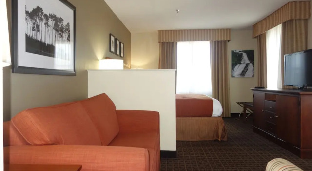 Двухместный люкс Country Inn & Suites by Radisson, Lawrenceville near Northside Hospital Gwinnett