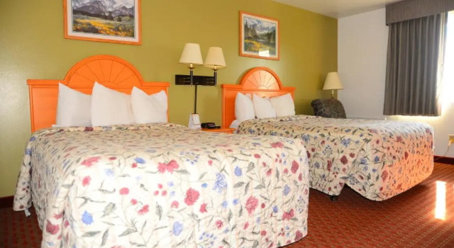 Четырёхместный номер Standard Budget Inn Express