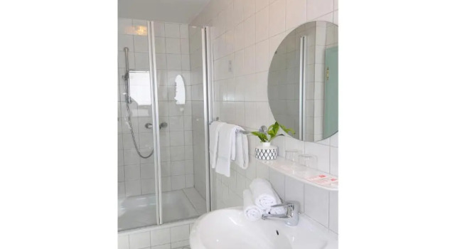 Двухместный номер Standard Hotel Weisses Lamm