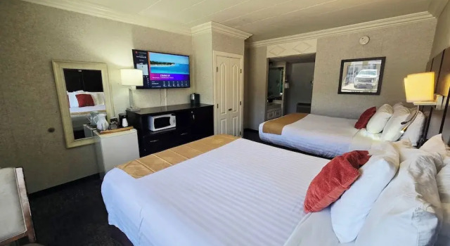 Четырёхместный номер Standard Gaidos Seaside Inn
