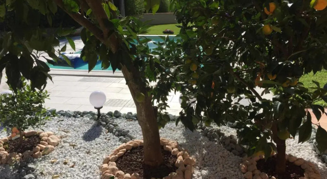 Коттедж FiordiSole Holiday Home