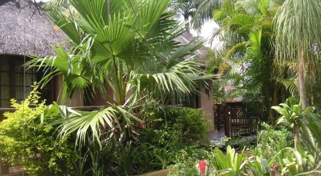 Номер Standard Afrikhaya Guest House