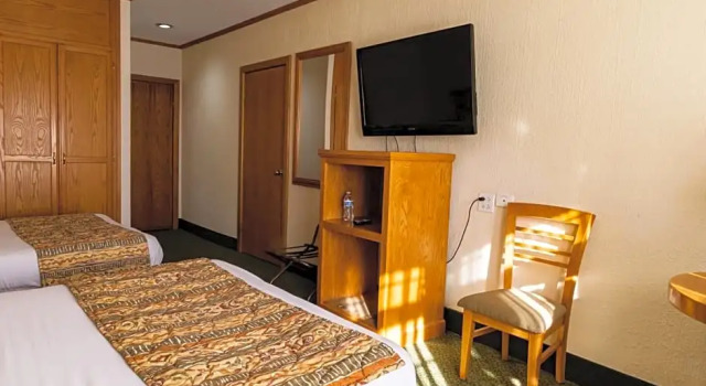 Номер Deluxe Hotel Sicomoro