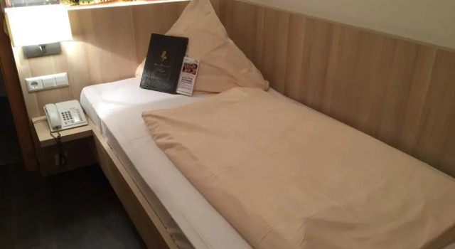 Номер Economy Hotel Rose Heidelberg inklusive Frühstück, Saunanutzung und Parkplätze nach Verfügbarkeit