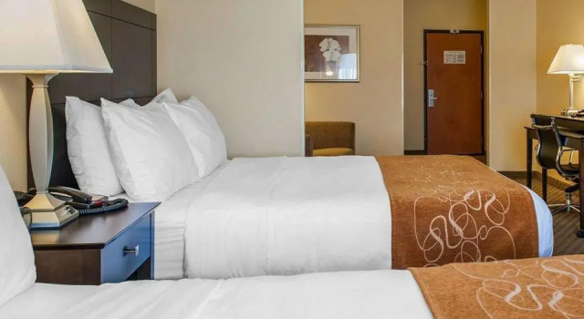 Четырёхместный номер Standard Comfort Suites French Lick