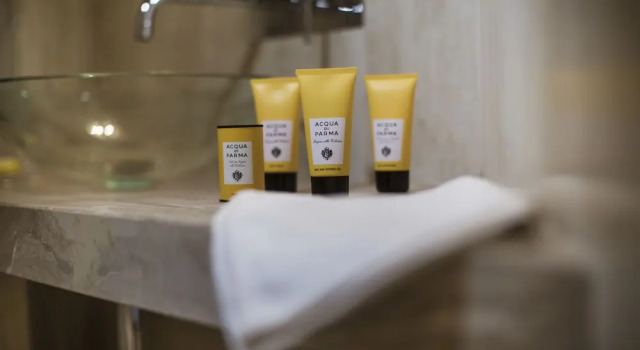 Люкс Deluxe Seven Historical Suites