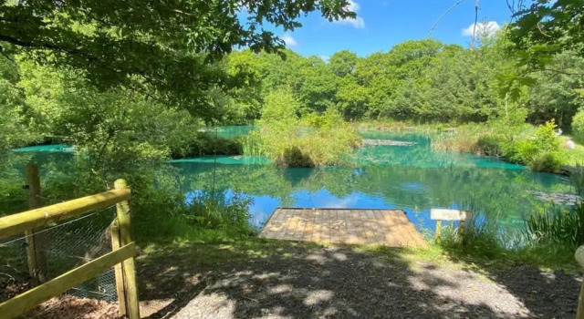 Converted French bus With Stunning Views, Réserver Camping Camping et glamping à Beaworthy, Camping