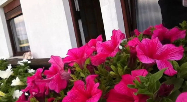 Номер Standard Guesthouse Magdalena