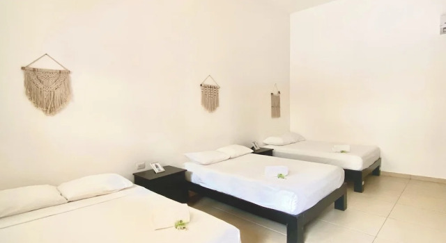 Люкс We playa Hotel