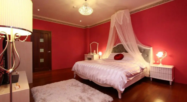 Camera Standard Star Shine B&B