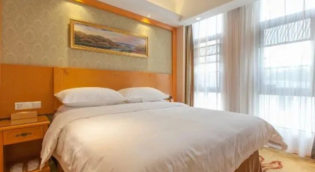 Люкс Deluxe Vienna Hotel（Wuhan University of Technology Nanhu Wenzhi Street Subway Station）