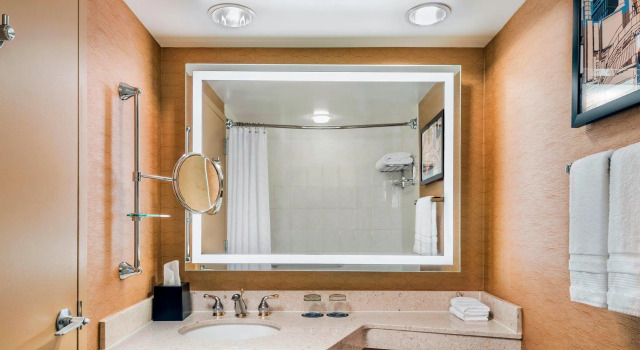 Четырёхместный номер Standard Sheraton Toronto Airport Hotel & Conference Centre