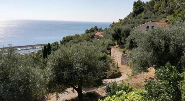 Ariadimare guest house