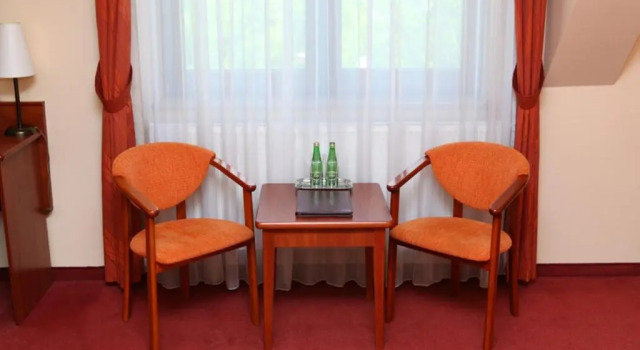 Номер Standard Hotel Zawiercie
