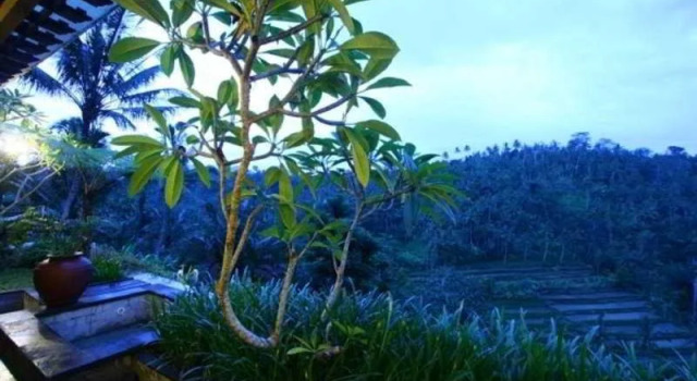The Payangan Hideaway, Boek Hotel Hotels in Bali met zwembad, Zwembad