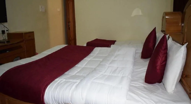 Manas Cottage Saputara