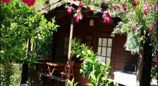 Номер Standard Adrasan Şekerbahçe Otel