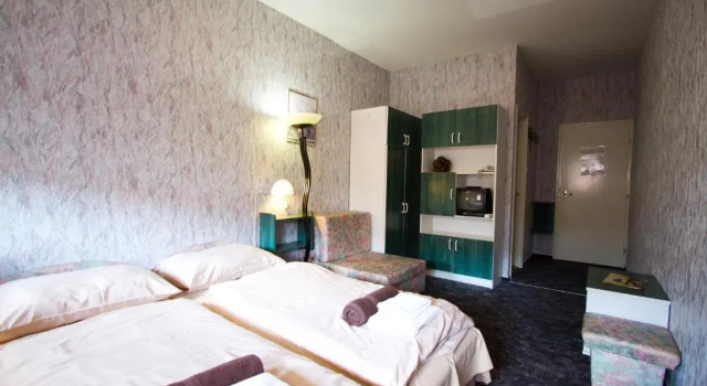 Двухместный номер Standard Piknik Wellness Hotel