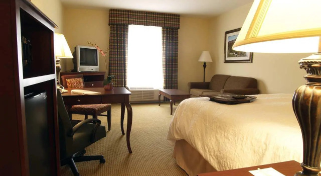 Двухместная студия Hampton Inn & Suites Dobson