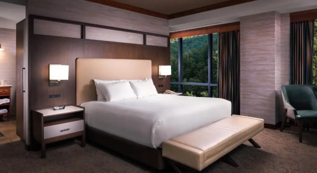 Двухместный Corner Suite Seneca Allegany Resort & Casino