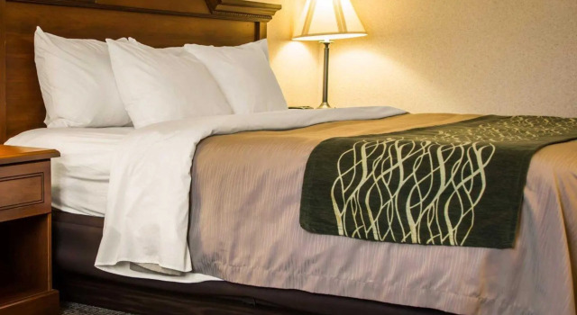 Люкс Comfort Inn & Suites Dimondale - Lansing