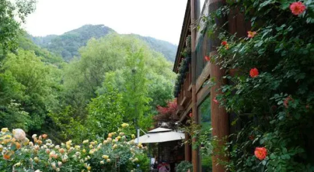 Jiuru Mountain Buermuju Homestay, Забронировать Отель Бизнес-отели Шаньдун, 4* 5*
