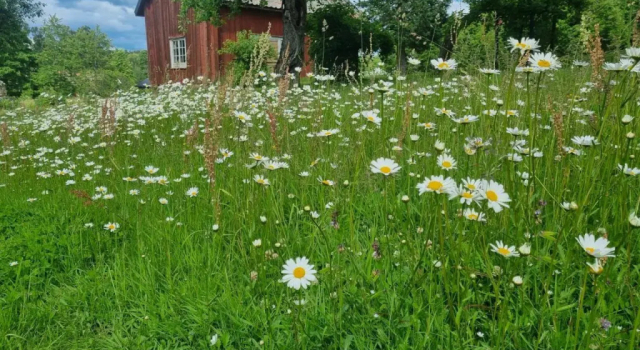 Skölvs Gård, Забронировать Отель Glanshammar 