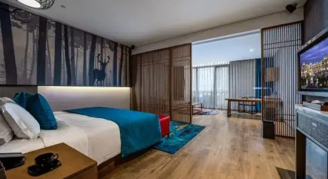 Люкс Platinum Merlinhod Hotel
