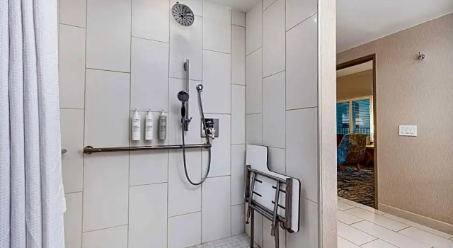 Двухместный люкс Accessible с балконом Embassy Suites by Hilton Tampa Downtown Convention Center