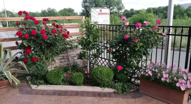 Двухместный номер Standard с балконом Family Hotel Mimosa