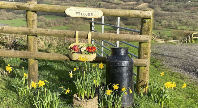Коттедж Sychnant Farm Retreat