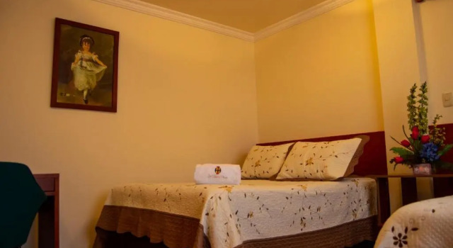 Двухместный номер Standard Hotel San Ignacio Plaza