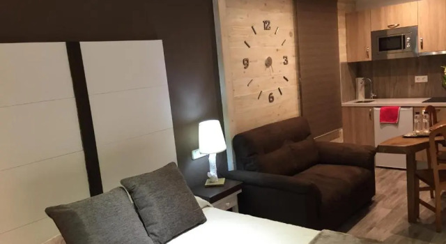 Студия Hotel Apartamentos Barrau