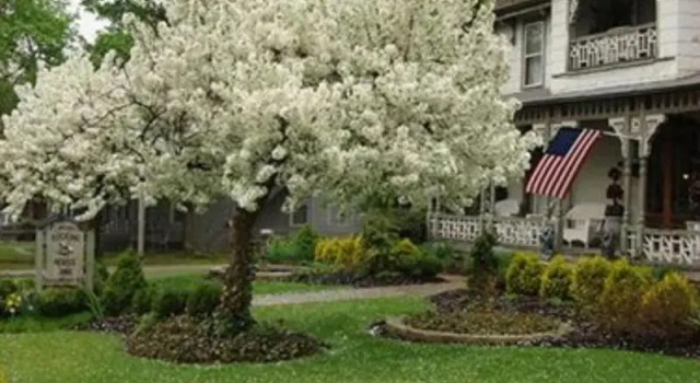 Rocking Horse Inn, Book Hotel Ravenna Ohio