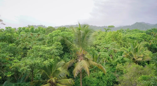 Семейный люкс с балконом и с видом на сад Ecohotel Yachay Dentro del Parque Tayrona Inside Tayrona Park