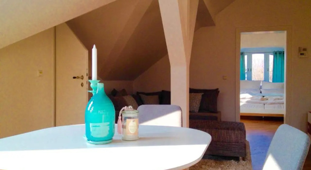 Апартаменты Superior Appartment Villa am Bretschneiderpark
