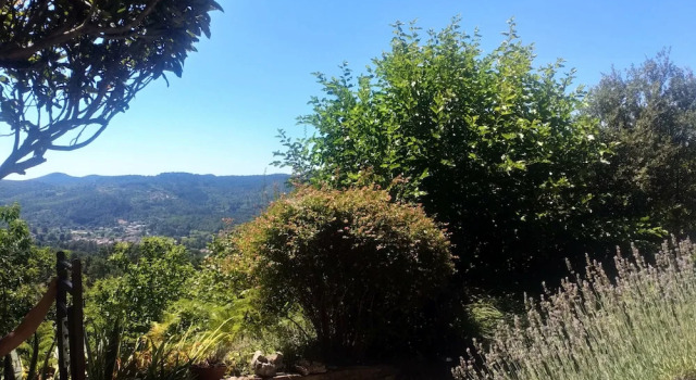 Номер Standard Les Jardins d'Arbousse