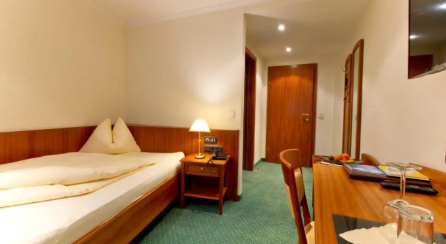 Одноместный номер Standard Hotel Weisser Hirsch