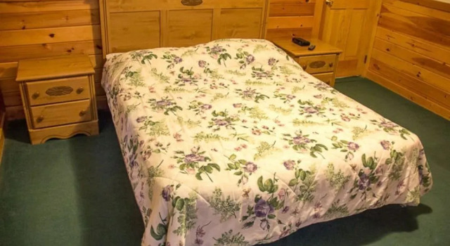 24 Bear Trax - 3 Br Cabin, Забронировать Дом для отпуска Гатлинберг Great Smoky Mountains National Park