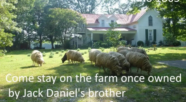 Четырёхместный номер Standard Mulberry Lavender Farm and B&B