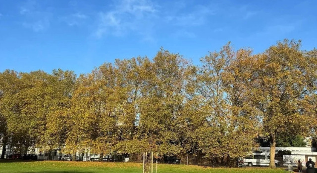 Коттедж 3 Bedroom Apartment by River Thames
