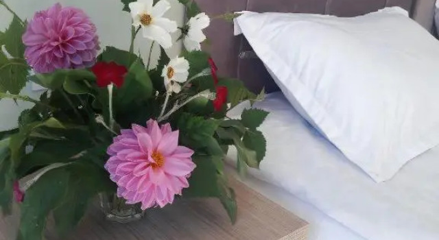 Двухместный номер Standard Guest House Mari30